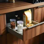 Tehetsz róla: ezért jelennek meg kártevők még a legtisztább otthonokban is