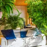 7 szerencsehozó növény, amely jó energiákkal tölti meg az otthonodat