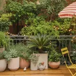 Nem a locsolás a gond – ezért pusztulnak el a növények a balkonládában nyáron