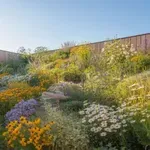 7 virág az öngondoskodó kerthez – márciusban ültesd el őket