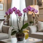 Ne dobd ki a haldokló orchideát – ezzel a módszerrel újra virágozhat