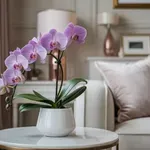 Nem virágzik újra az orchideád? Így ültesd át, hogy évekig virágozzon