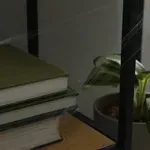 3 egyszerű trükk, amivel távol tarthatod a pókokat az otthonodtól