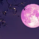 5 jelentős változás, amit megtapasztalhatsz az áprilisi rózsaszín telihold után