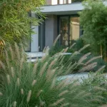 Belátnak a kertedbe? Ez a 7 növény többet érhet, mint egy magas kerítés