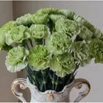 Ezek a virágok tartoznak hozzád – a születési hónapod többet árul el rólad, mint hinnéd