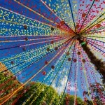 Kivirágzik a Művészetek Kertje az idei Sziget Fesztiválon
