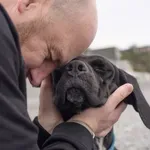 4 jel, hogy a férfi szíve összetört szakítás után