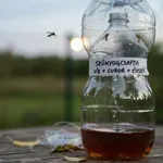 Szúnyoginvázió a kertben? Ez a zseniális csali elhiteti a szúnyogokkal, hogy emberre találtak