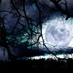 Közeleg az év utolsó szupreholdja – mutatjuk, miért lesz annyira különleges