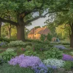 7 gyorsan terjedő virág, ami talajtakaróként működik – alig igényel gondozást a kertben