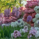 Egyetlen növény újrarendezheti az egész kertet – mégis kevesen merik bevállalni