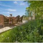 A legtöbben vegyszert használnak – pedig ez az egyszerű konyhai trükk eltünteti a gyomokat