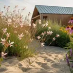 Ezért nem marad meg semmi a homokos talajban – kivéve ezt az 5 növényt