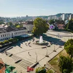 Tuzla ulazi u sezonu velikih događaja: Koncerti, festivali i sportski spektakli očekuju građane i turiste (VIDEO)