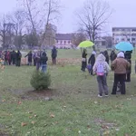 Karton Revolucija: Mališani zasadili 50 novih stabala u Tuzli (VIDEO)