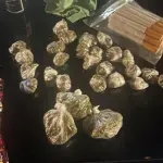 (FOTO) Uhapšen muškarac iz Gračanice zbog proizvodnje i prodaje opojnih droga