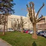 Nastavljaju se radovi na orezivanju i uređenju drvoreda u Tuzli