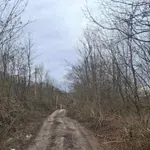 Počinje sanacija puta u naselju Kovačica