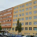 U tučnjavi navijača u Tuzli ima i teško povrijeđenih