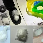 Policijske kontrole, pretresi i zapljena opojnih droga u TK