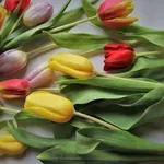 Žene sa invaliditetom i dalje svakodnevno bore za ravnopravnost: I.C. ‘Lotos’ Tuzla poziva na konkretne promjene