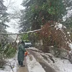 Civilna zaštita Grada Tuzle: Uklanjanje oborenih stabala i granja