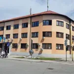 Policajci iz Tuzle pod istragom nakon snimka u kojem jedan od njih udara maloljetnika tokom intervencije
