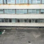 Studenti i profesori Univerziteta u Tuzli zajedno će pratiti utakmicu BiH protiv Kanade
