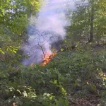Vatrogasci danima na terenu, požar na Husinu i dalje aktivan (VIDEO)