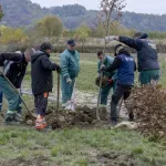 Započela sadnja 205 stabala na Gradskom groblju „Drežnik“