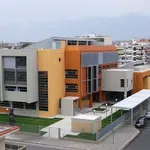 Δήμος Δράμας: Κοπή βασιλόπιτας δημοτικών υπαλλήλων