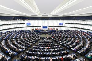 EP adopted resolution on enlargement