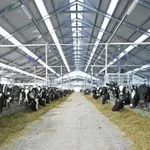 Podravka Agri širi brend ABC: U trgovine stižu novi proizvodi od domaćeg mlijeka