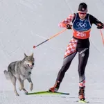 Četiri milimetra koji su koštali medalje, priznanje preljube, Nazgul na stazi, politika…najneobičniji trenuci Zimskih olimpijskih igara Milano Cortina 2026