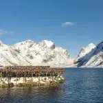 Kako je hrana za preživljavanje u Norveškoj postala kulinarski identitet