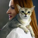 Oskari za mačke – Bukurešt ugostio evropsku elitu rasnih ljubimaca na spektakularnom takmičenju