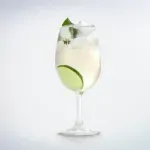 Aperitivi u evropskom stilu, osvježavajući i sa malo alkohola: Pet dobrih recepata
