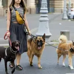 Šest poslova koje možete pokrenuti od kuće uz minimalna ulaganja
