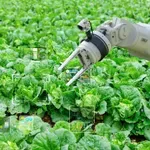 Pet robota koji su napravljeni da pomognu planeti