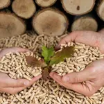 Pretpostavke o peletu su bile pogrešne? – Države preispituju stavove oko ovog energenta