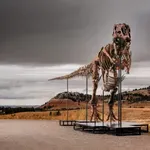 T-rex Gas oborio aukcijski rekord: Prodat za 50,1 milion dolara