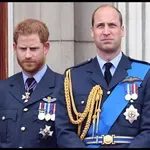 Princa William in Harry sta zaradi tega deležna kritik, a zgodba se je hitro zasukala zelooo drugače