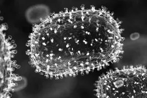 GLOBALNA GROŽNJA: odkrili novo mutirano vrsto mpoxa, ki ima 'potencial pandemije'