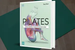 Pilates. Všetko o účinkoch tohto cvičenia, tréningové zostavy a užitočné rady