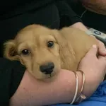 U zrakoplovima ih dočekali najslađi putnici pa sa svima podijelili prizore