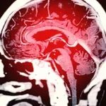 Ljudski mozak mijenja se tijekom života čak pet puta: Evo kako i točno kada!