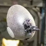 Internet u šoku zbog neobične slike - nitko nije pogodio o čemu je riječ