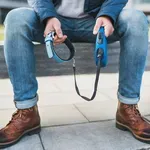 Pregazio psa i pobjegao. Sud vlasniku odredio odštetu: "Živio je kao član obitelji..."