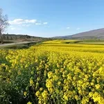 More zlata u Istri: Pogledajte prizore zbog kojih ćete poželjeti otići na izlet